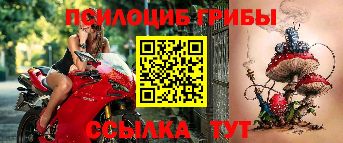 Галлюциногенные грибы прущие грибы Томск